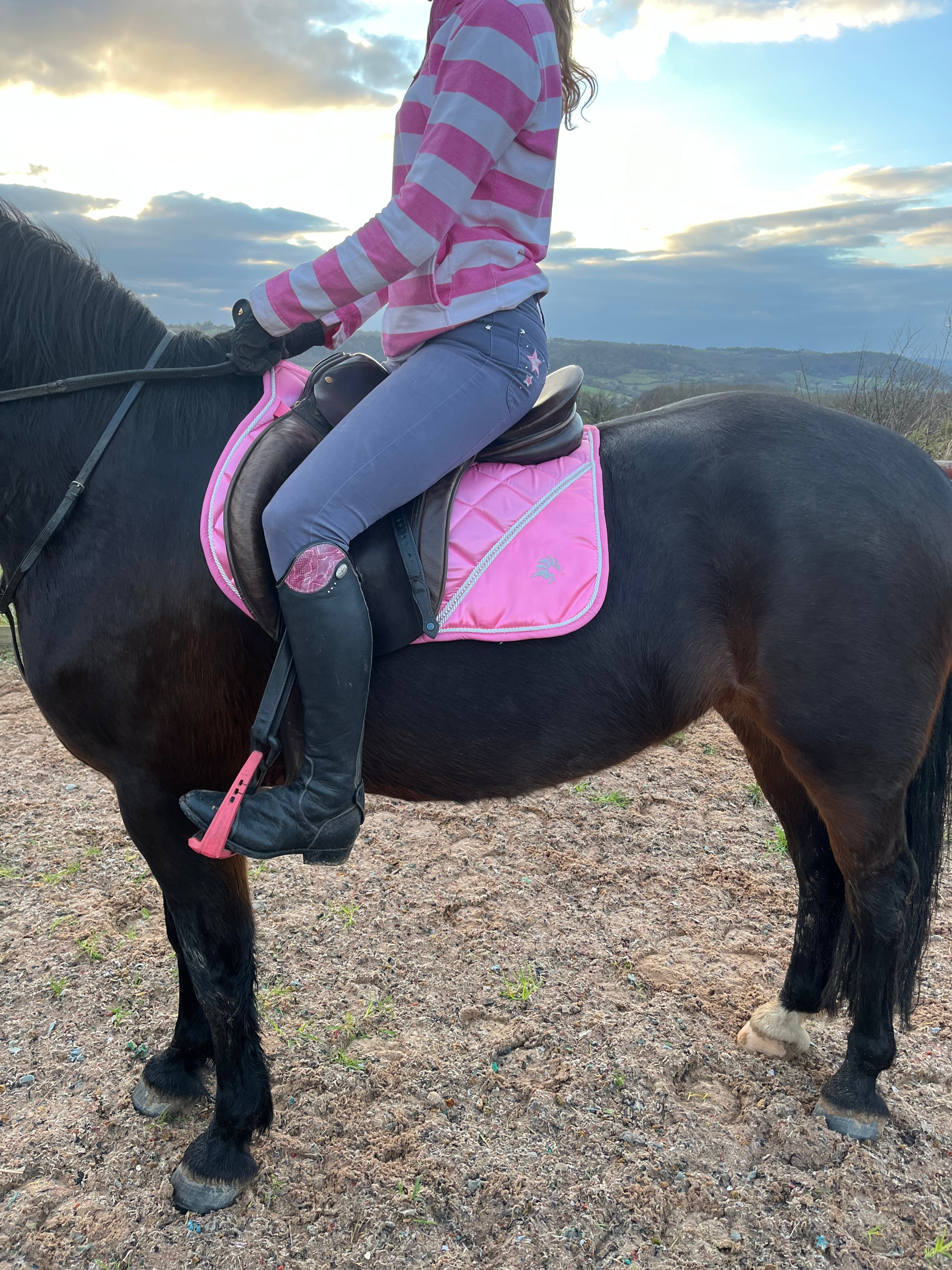 SHARLOAM Saddle Pad
