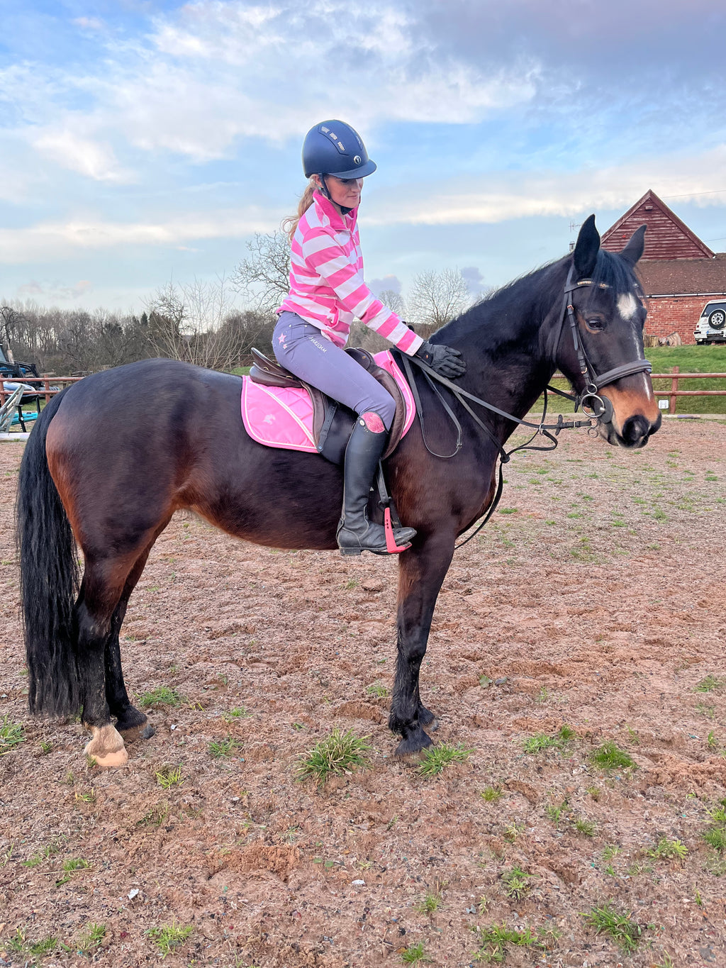 SHARLOAM Saddle Pad