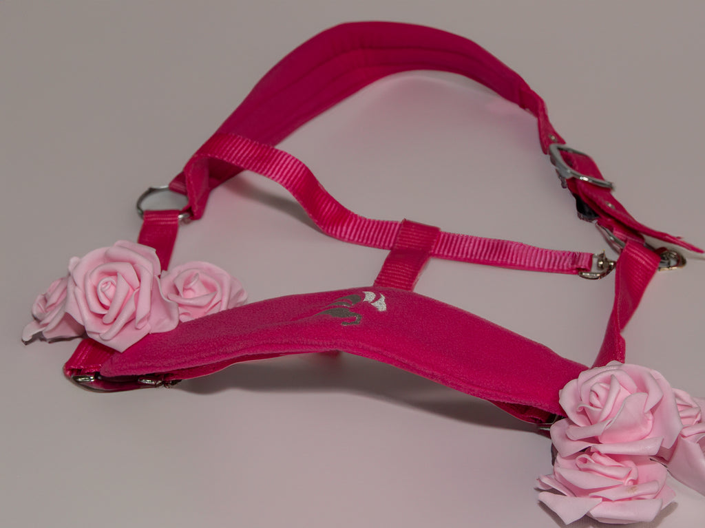 SHARLOAM Head Collar